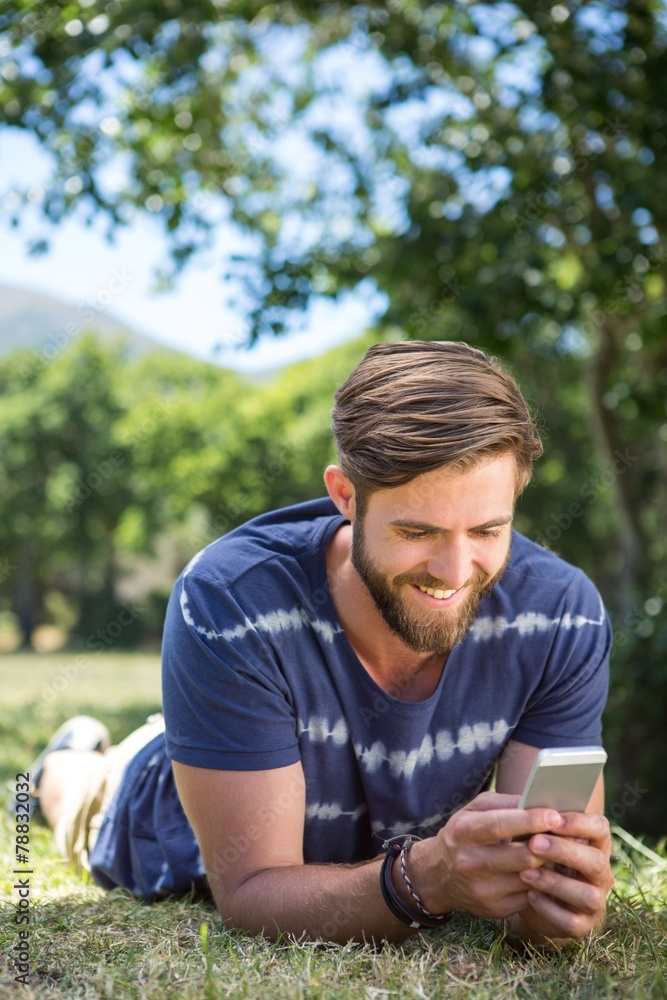 Handsome hipster using phone in park