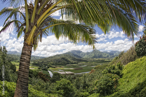 Fototapeta hawaii kauai fields aerial view