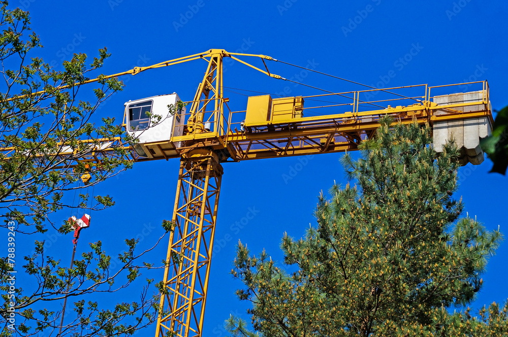 Tower crane behind trees