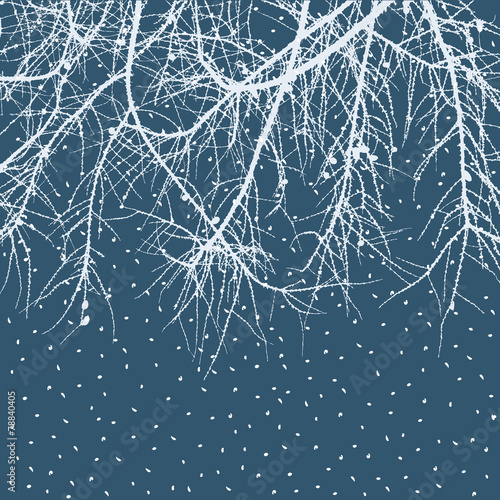 winter background