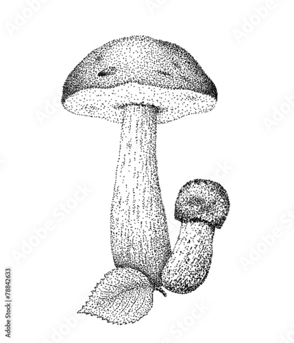 Boletus Mushrooms In Vintage Pointillism Style