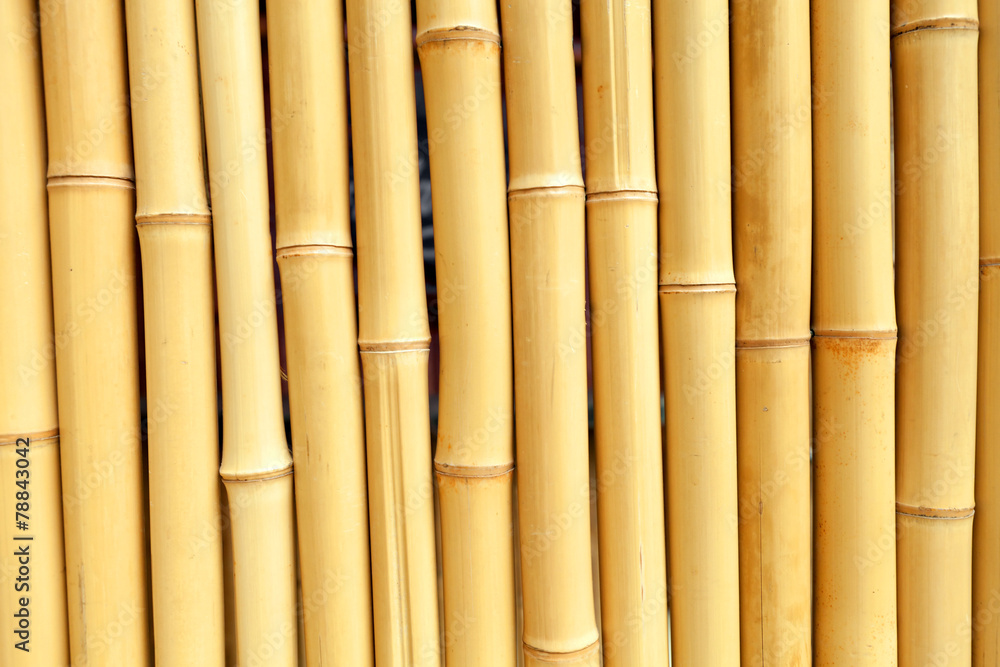 Fototapeta premium Prawdziwa Bambusowa tło tekstura