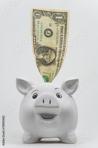 Dollar in a Piggy Bank, isolated on white