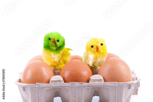 Easter - brown eggs and chicken - Stock Image © daniit