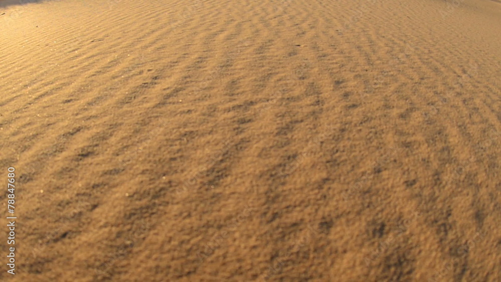 Pan of Golden Sand Dunes Pan of Golden Sand Dunes