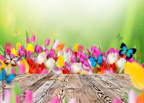 Fototapeta Naklejka Na Ścianę i Meble -  Beautiful spring background