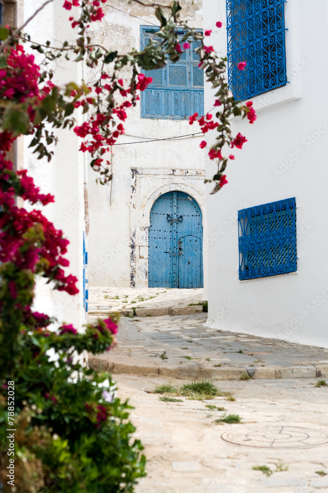 Blue doors, window and white wall of building in Sidi Bou Said,