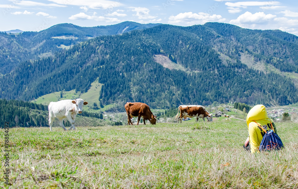 Obraz premium Пейзаж, Украинские Карпаты