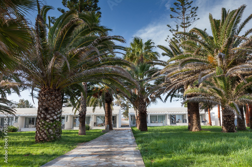 Promenade among palm trees