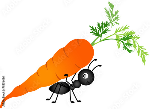 Ant Carrying Carrot
