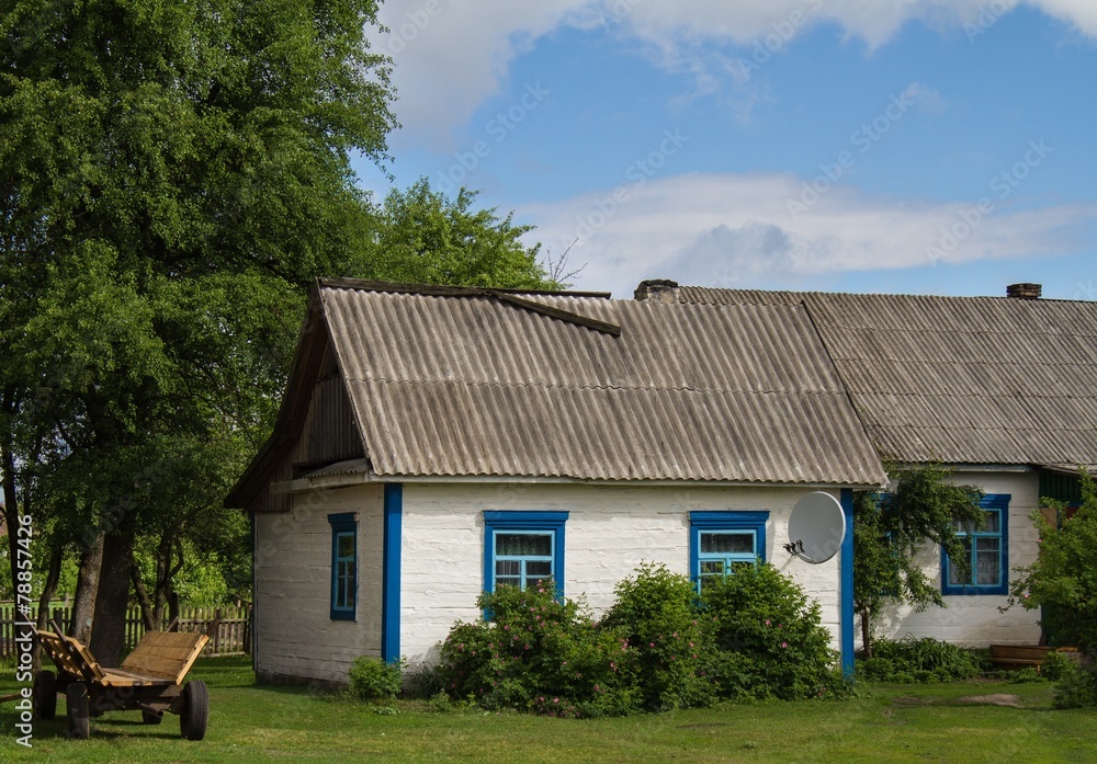 Village in the Ukrainian Polesie