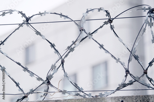 Closeup barbed wire photo