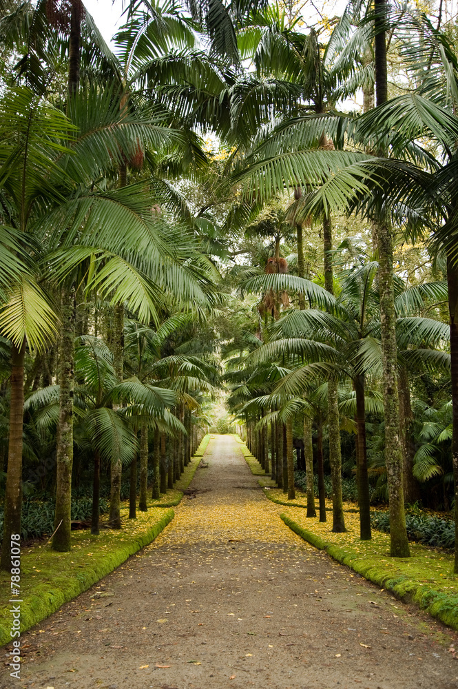 Palmenallee Palmenallee