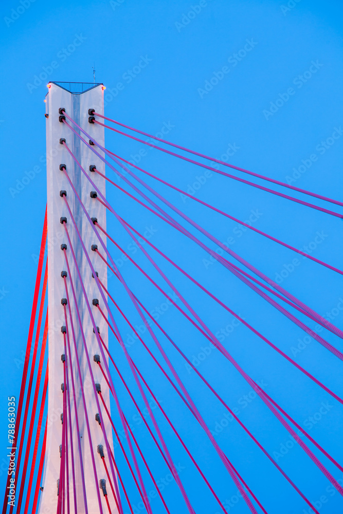 Suspension bridge over Wisla in Gdansk Poland.