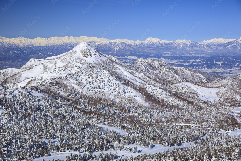 Fototapeta premium Shiga Kogen in winter, Nagano, Japan