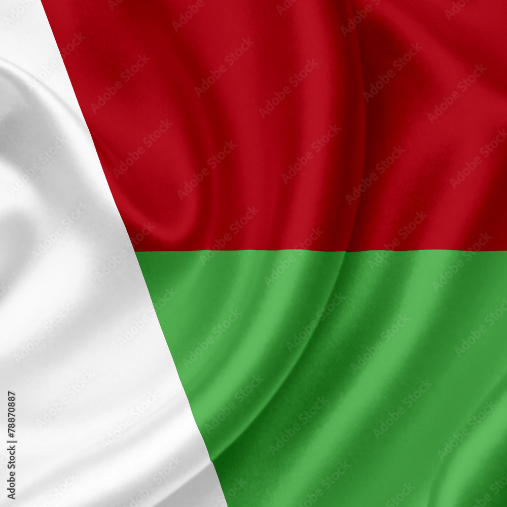Obraz premium Madagascar waving flag