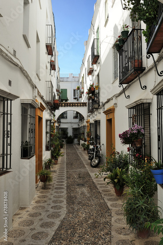 courtyard decorated with flowers  Cordoba  Spain