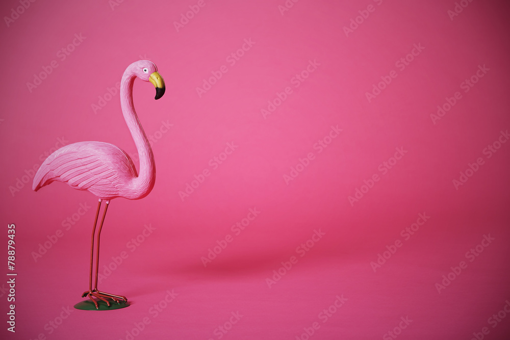 Pink flamingo in studio - obrazy, fototapety, plakaty 