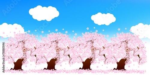 桜　桜の木　花