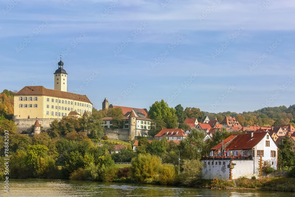 The castle on the river Neckar,Germany The castle on the river Neckar,Germany