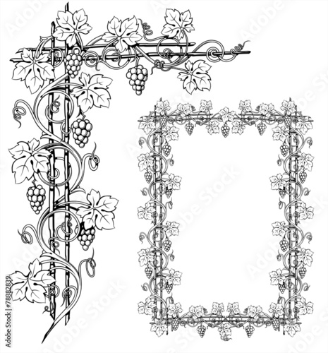 decorative vine in the ornament, antique frame engraving, vector