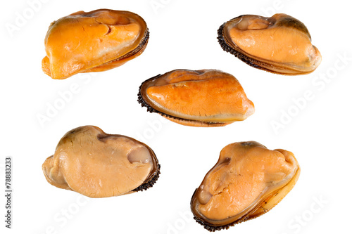 Fresh mussels on a white background. Isolated.