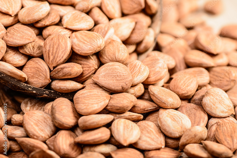 apricot kernels on the wooden board apricot kernels on the wooden board