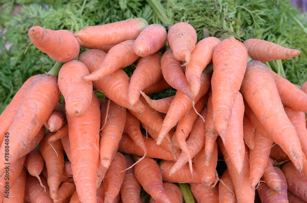 pile carrots