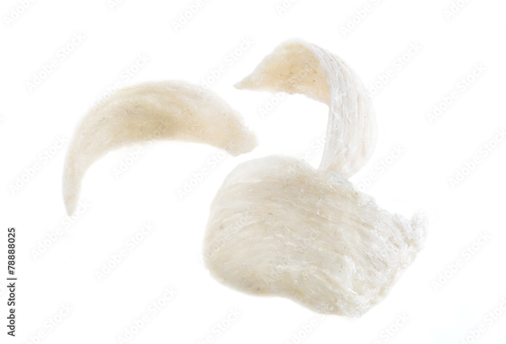 cleaned swiftlet nest on white background cleaned swiftlet nest on white background