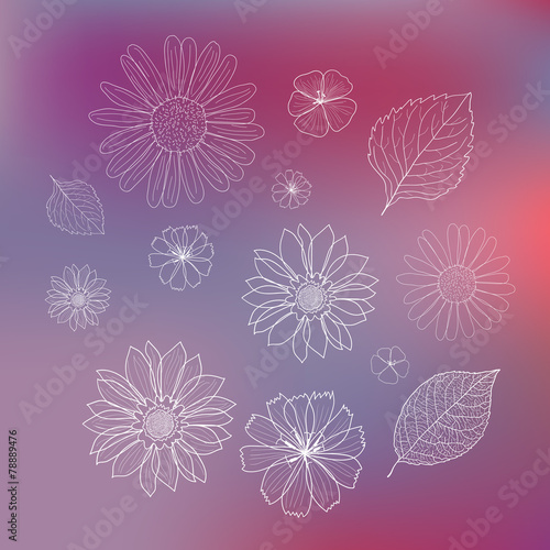 Fototapeta Naklejka Na Ścianę i Meble -  Flower Design Elements