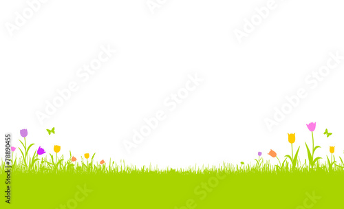Wiese mit Tulpen