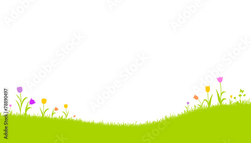 Wiese mit Tulpen