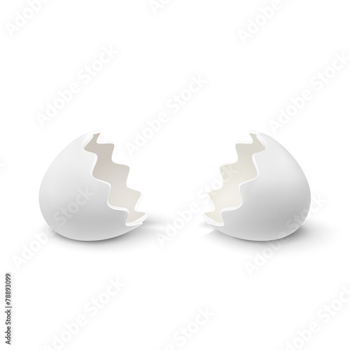 Realistic egg shell icon, isolated on white background.