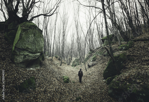 man on dark forest path wit...
