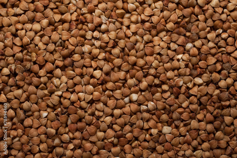 buckwheat seed background close up buckwheat seed background close up