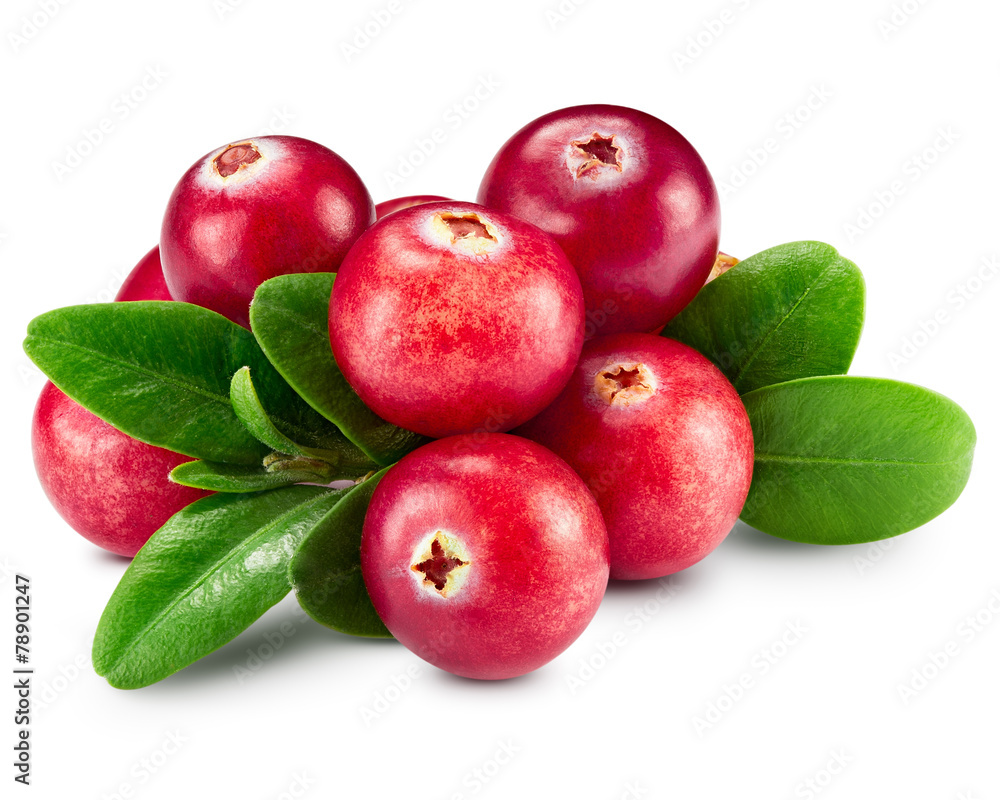 cranberries cranberries