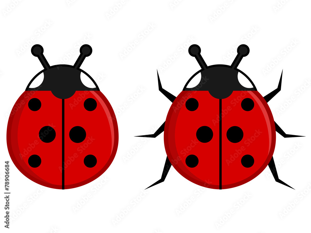 Obraz premium Ladybug