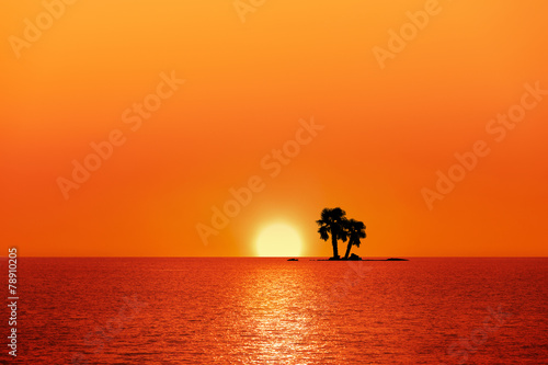 Sonnenuntergang mit Palmen