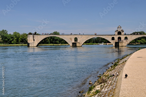 Avignone, ponte 1 © scabrn