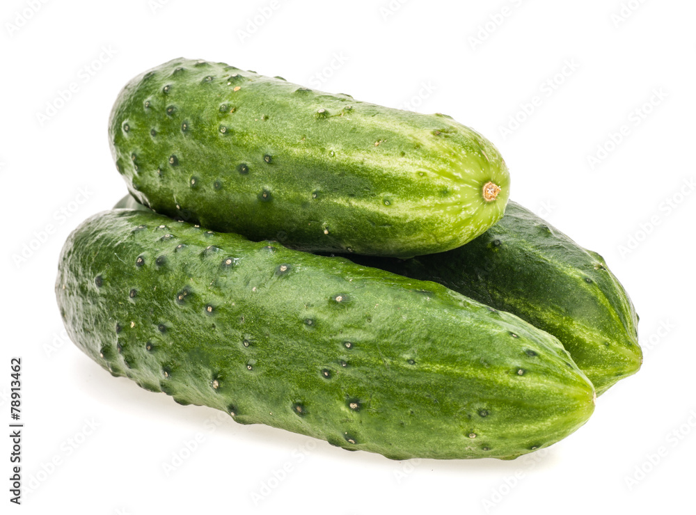 bunch of fresh cucumber isolated on white bunch of fresh cucumber isolated on white