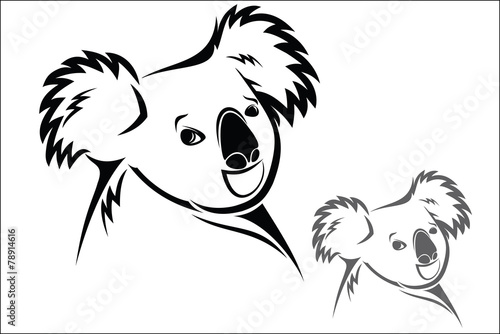 Photography Koala bear