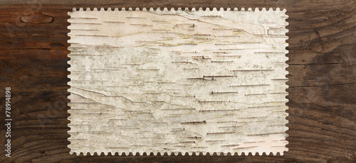 birch bark texture tree blank wavy pattern edge