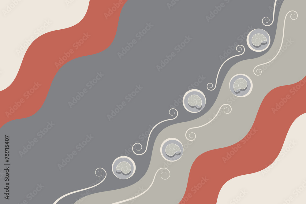 background with shells background with shells