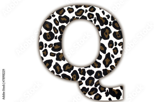 font with pattern leopard