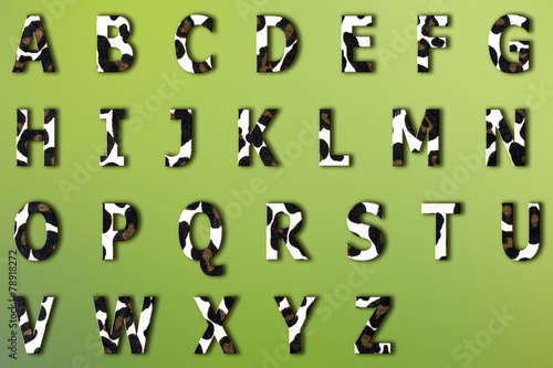 font with pattern leopard