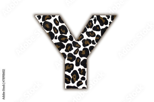 font with pattern leopard
