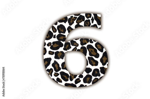 font with pattern leopard