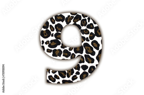 font with pattern leopard