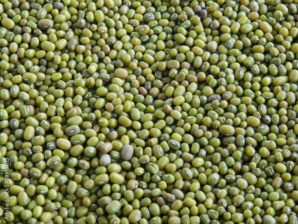 mung bean seeds