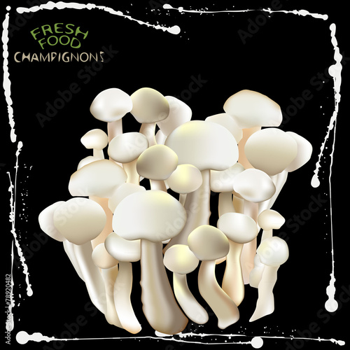 champignons